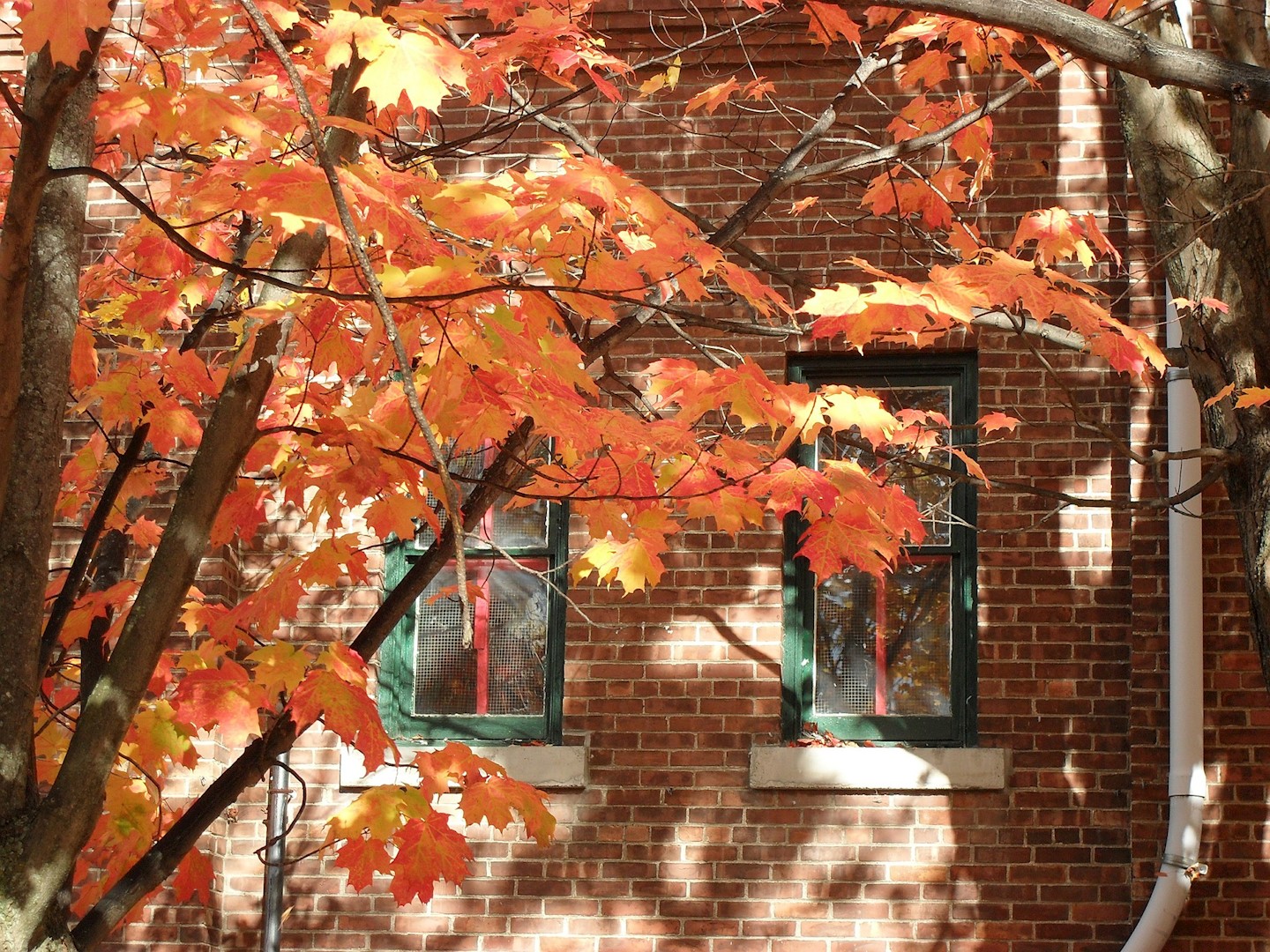 Vermont fall - image by donwhite84 @ pixabay.com